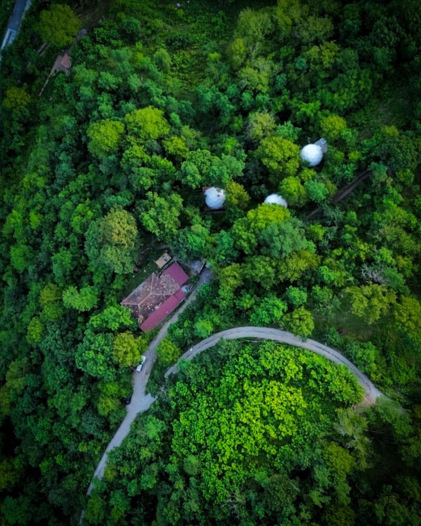 Wine Space Амбролаури Экстерьер фото